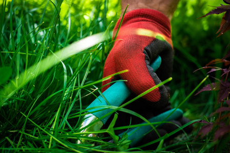花园工作。 那个人用剪枝剪去草，园丁穿着裤子和工作靴做工作。 一个人在地上播种幼苗的景色。