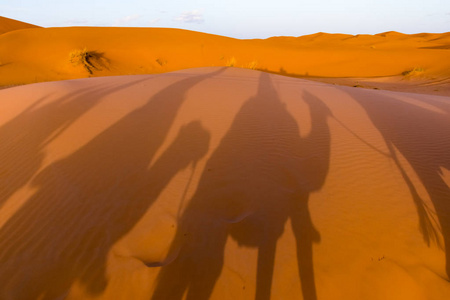 骆驼大篷车的长阴影, erg chebbi, 撒哈拉沙漠, merzouga, 摩洛哥