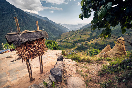 美丽的乡村风景，玉米储藏和稻田在喜马拉雅山尼泊尔山谷