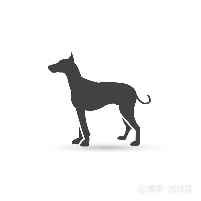 狗图标矢量,宠物实体标志插图,轮廓隔离在白色