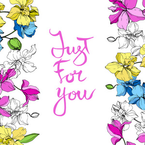 黄色蓝色和粉红色的兰花。 雕刻的水墨艺术。 花卉边界。 只为你书法字母书法。