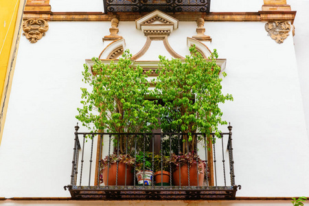 西班牙塞维利亚一所旧房子的窗户图片