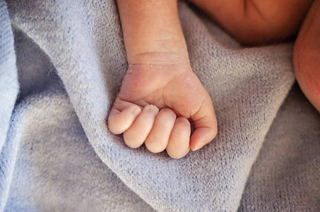 早产婴儿在孵化器中的手。 早产的婴儿