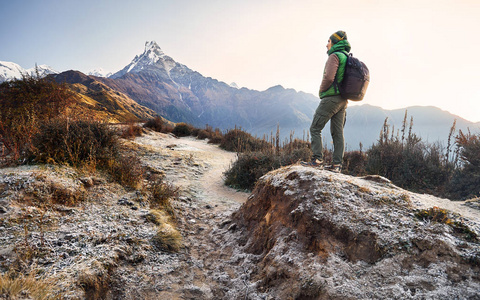 游客带背包，欣赏尼泊尔雪山马卡普查尔的景色