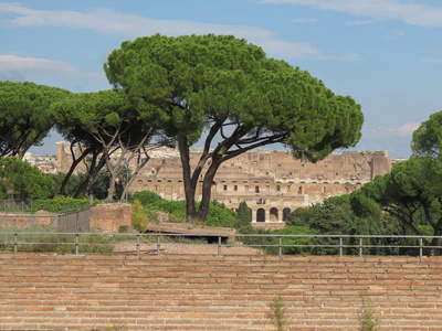 意大利罗马竞技场Colosseo，也就是竞技场