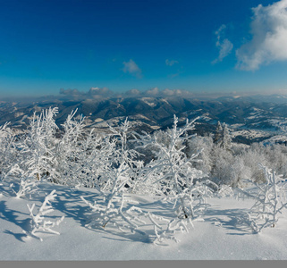 早晨，冬天平静的山景，山坡上有美丽的霜树和雪堆喀尔巴阡山，乌克兰。具有相当深场锐度的复合图像..