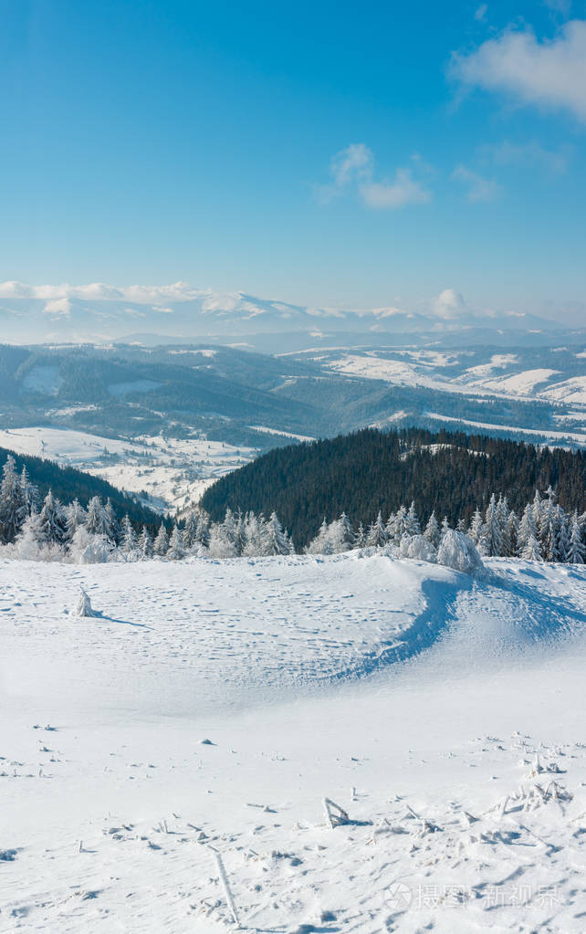 冬季平静的山景,山坡上有美丽的霜树和雪堆(乌克兰喀尔巴阡山)