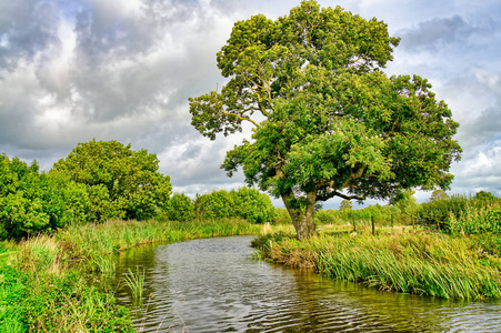 流经典型英国乡村的溪水图片