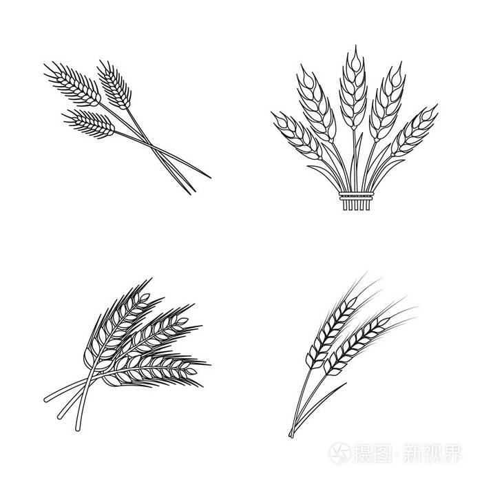 小麦和秸秆符号的矢量设计.网络小麦和粮食股票符号集