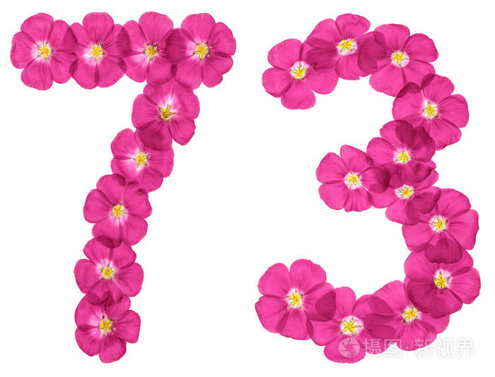 阿拉伯数字7373,从白色背景上分离的亚麻粉红色花中提取的73