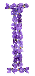 字母I来自字母表，从白色背景上分离的紫罗兰花