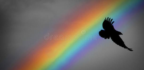 诺亚彩虹和乌鸦