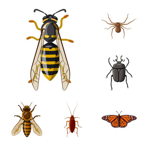 昆虫和飞行符号的孤立对象。网络昆虫和元素股票符号集