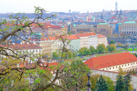 这张照片是布拉格城堡高度的布拉格之景。 前景是一棵老树的一根树枝。