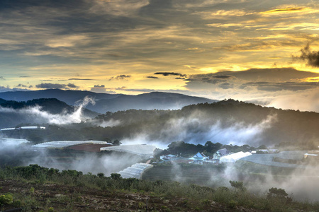 越南达拉特镇清晨一片云谷的神奇图像