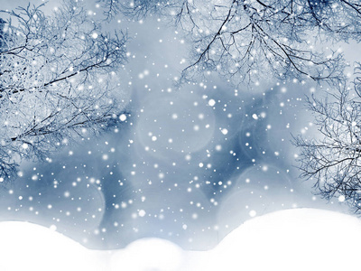 冬季圣诞节背景雪杉枝，锥冻浆果