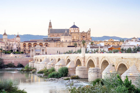 罗马桥和大教堂清真寺作为西班牙Cordobaandalusia的地标