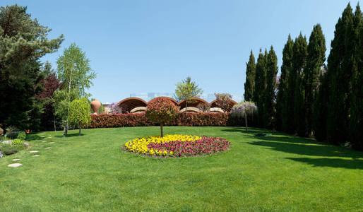 看一个有吸引力的后院，盛开的花朵，针叶树和保存良好的草坪，广视角。