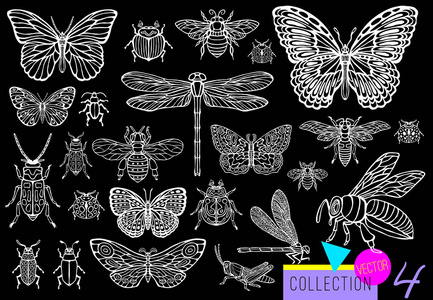 大手画线的昆虫虫, 甲虫, 蜜蜂, 蝴蝶蛾, 大黄蜂, 黄蜂, 蜻蜓, 蝗虫。剪影复古素描样式雕刻的例证