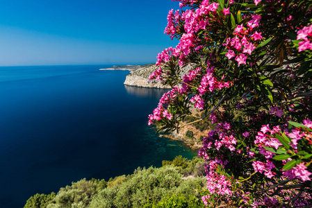 希腊美丽的夏季海景