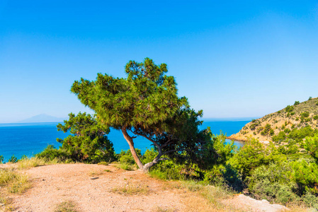 希腊美丽的夏季海景