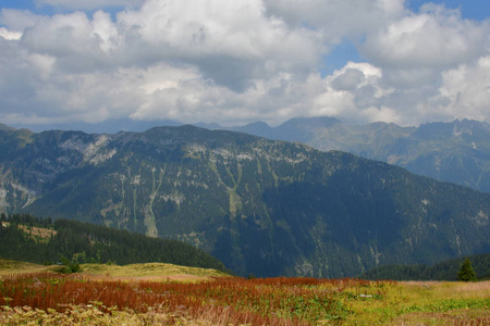 意大利南部的山顶岩石全景山景云天森林树