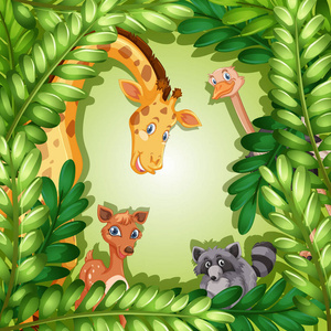 森林模板插图中的野生动物