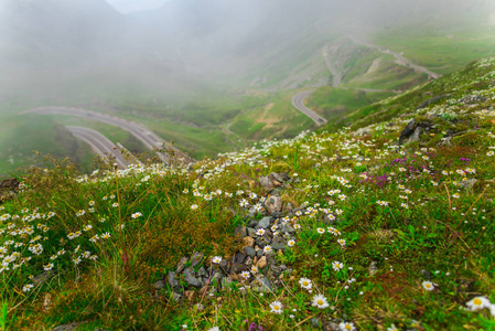 如1穿过高山的绿色草山，有路，有云，有花
