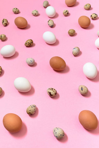 母鸡白色和棕色鸡蛋和鹌鹑鸡蛋在粉红色背景复制空间。 健康的食物概念。 俯视平躺。 复活节彩蛋。 快乐复活节概念