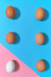 鸡蛋在蓝色和粉红色的粘贴背景复制空间。 鸡蛋在纸背景上有两种色调的颜色。 复活节彩蛋。 平躺顶部视图。 个性独特性独立性