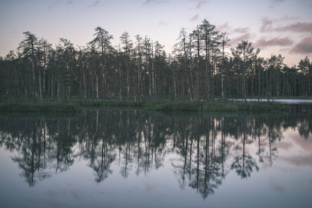 日落时平静湖水中树木的倒影图片