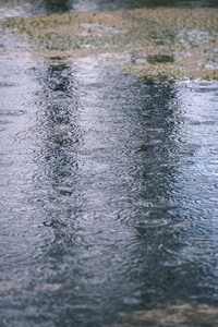 英译汉1.雨水滴在湖面上