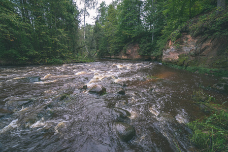 绿色森林中的快速阿马塔河。 拉脱维亚的阿马塔
