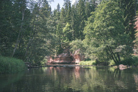 阿马塔河沿岸的砂岩悬崖和拉脱维亚的林