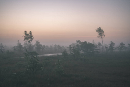 雾蒙蒙的沼泽地区，明亮的日出