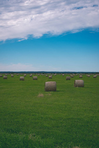 在蓝蓝的田野上的一卷干草在拉脱维亚的农村