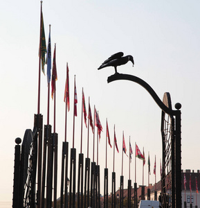 布达佩斯布达的乌鸦和旗杆雕塑