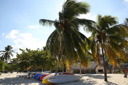 热带海滩，有棕榈树，船在白沙上