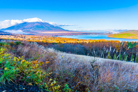 日本秋季稻子或山坂湖富士山的美丽景观