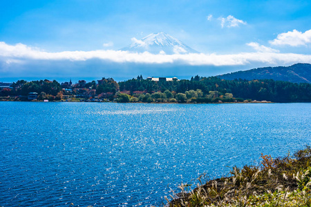 秋季环湖枫叶树的富士山美景