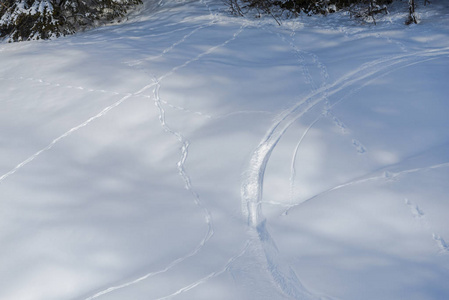 冬季雪覆盖景观全框架图像