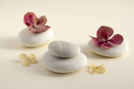 和谐与平衡，凯恩斯，白色背景上的简单凹石，岩石禅宗雕塑，五颗白色鹅卵石，单塔，简单，干绣球白红花