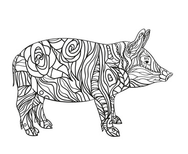白色的猪。手绘动物，在孤立的背景上有复杂的图案。成人精神放松设计。图片为您的横幅，传单或纺织品。黑白插图