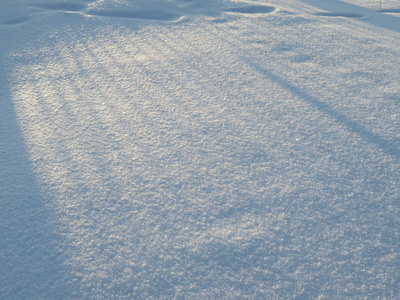 从栅栏上的阴影在纯净的冬天雪图片