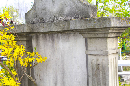 春天黄色灌木墙纪念碑坟墓图片