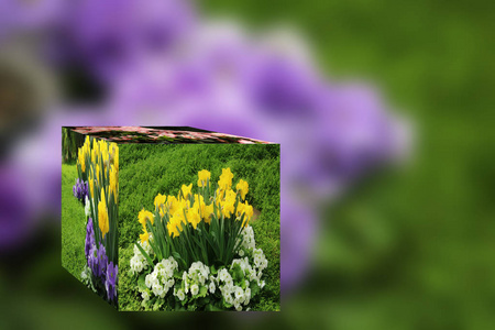 三维立方体花卉自然背景插图图片
