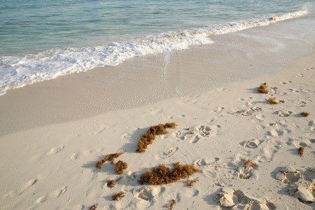 蓝色海洋附近沙滩上的脚印