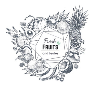 水果和浆果手绘横幅。向量框架