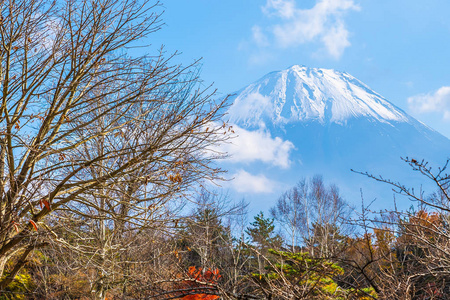 日本秋季环湖枫叶树的富士山美景