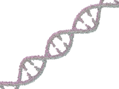DNA分子位于白色背景的前面.抽象拼贴。3D绘制